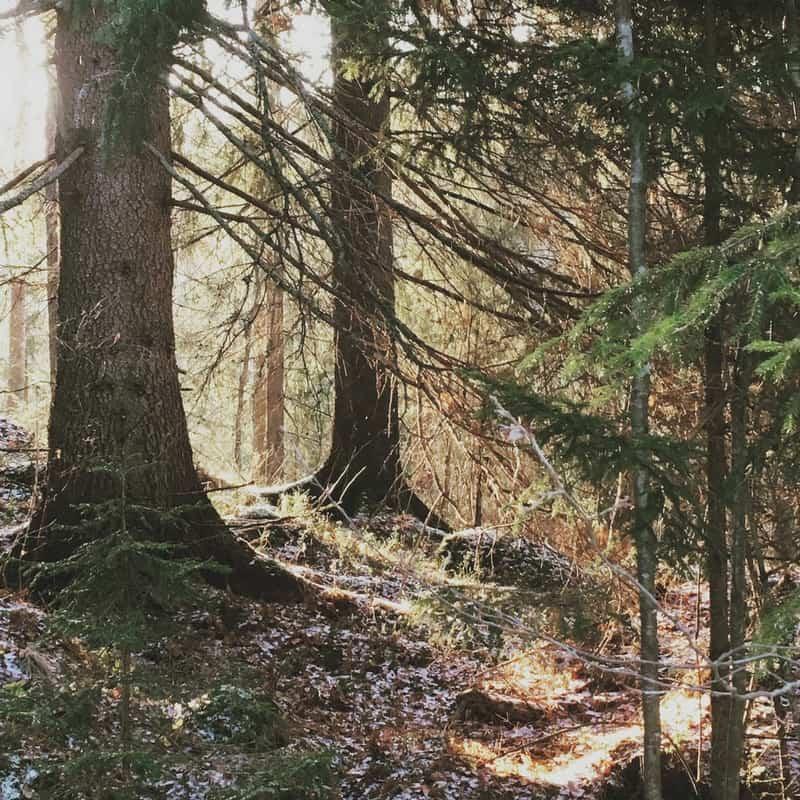 Famous Finnish Sayings about Life that Will Inspire You
