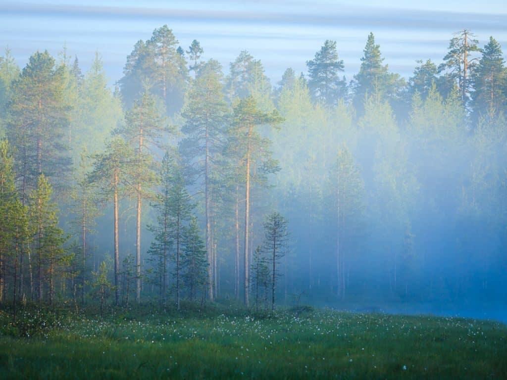 midsummer night in Finland