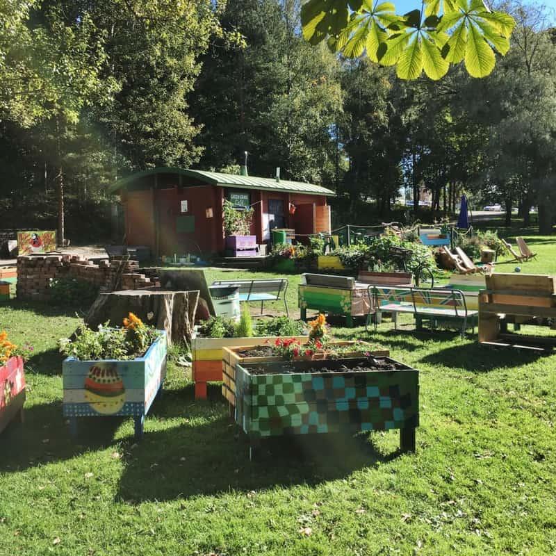 Finnish summer weather at a park with flowers and plants