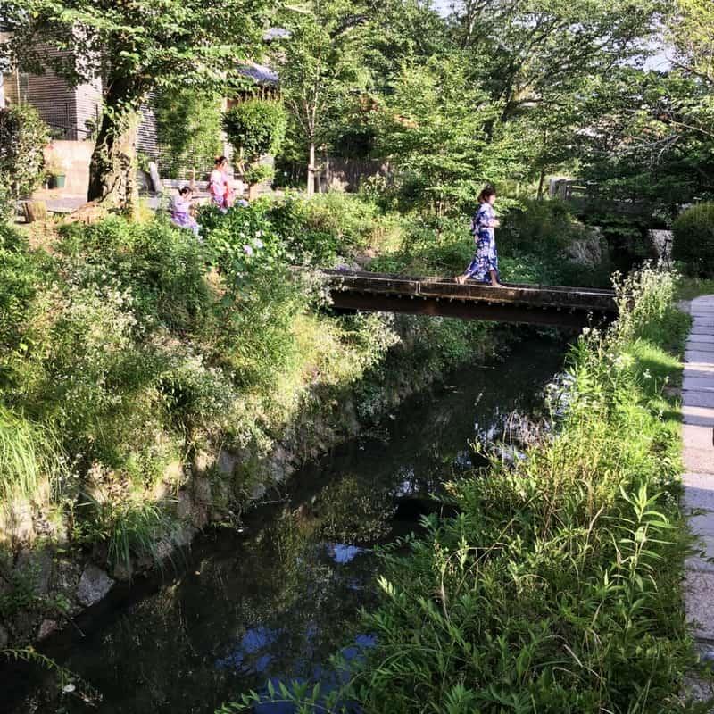 Beautiful Japanese garden