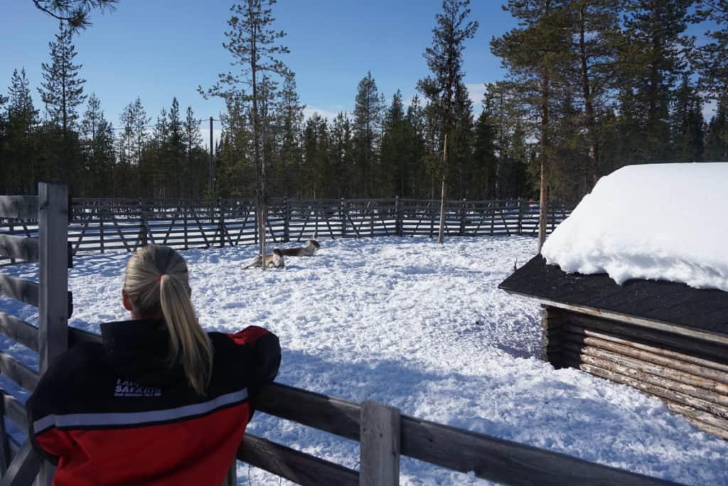 What is astiankuivauskaappi? The Finnish dish-drying method you need