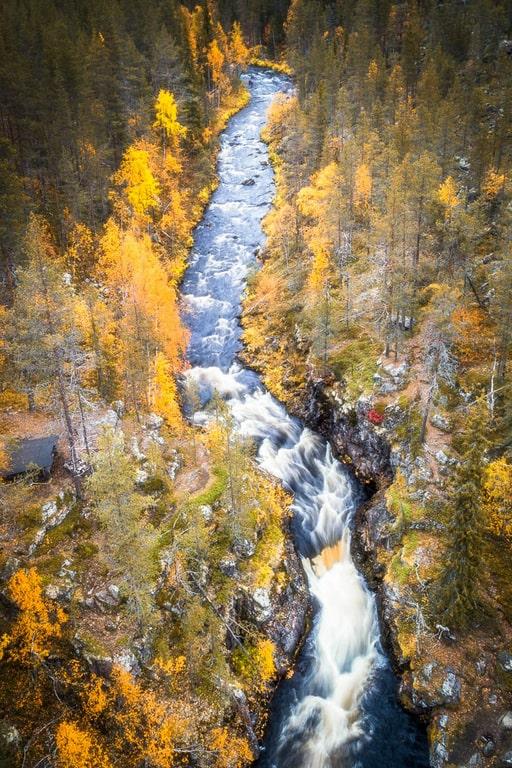 Lapland holidays in the autumn offer scenic forest and fell views. Read more about how to plan your Lapland visit! #lapland