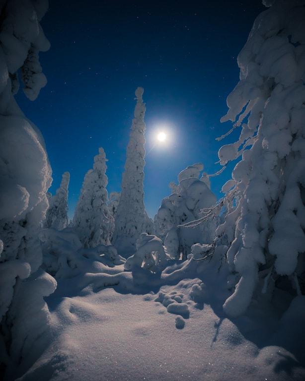 15 Incredible Lapland Pictures that Inspire You!