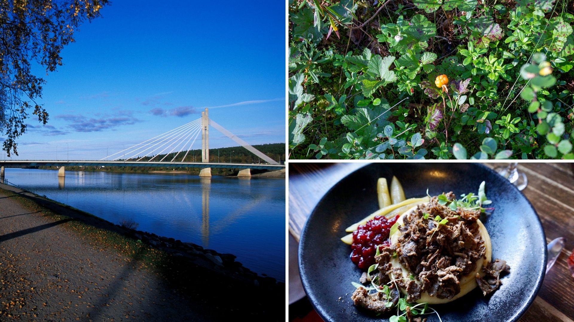 7 Best Things to Do in Rovaniemi Lapland