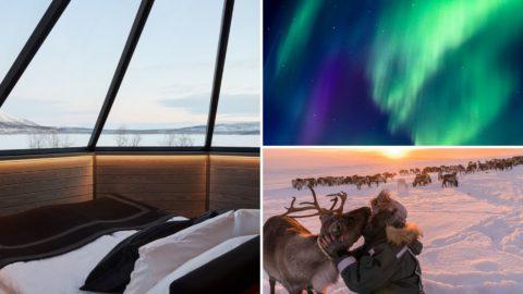 TOP 5 Dreamiest Glass Igloos in Finland + Tips for Booking