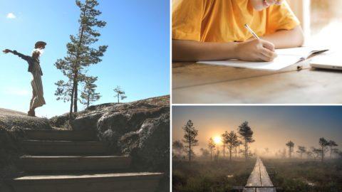 Unlocking the Finnish Language: Basics + Where to Start?
