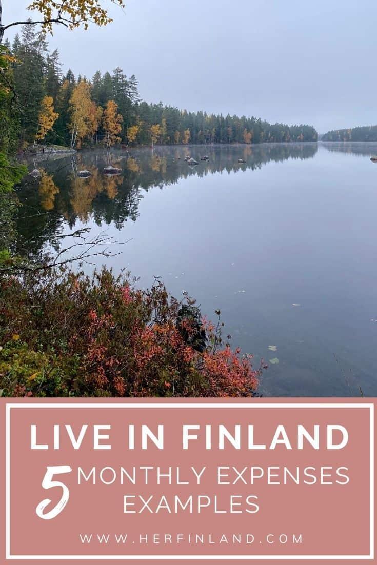 Cost of living in Finland for a foreigner Her Finland