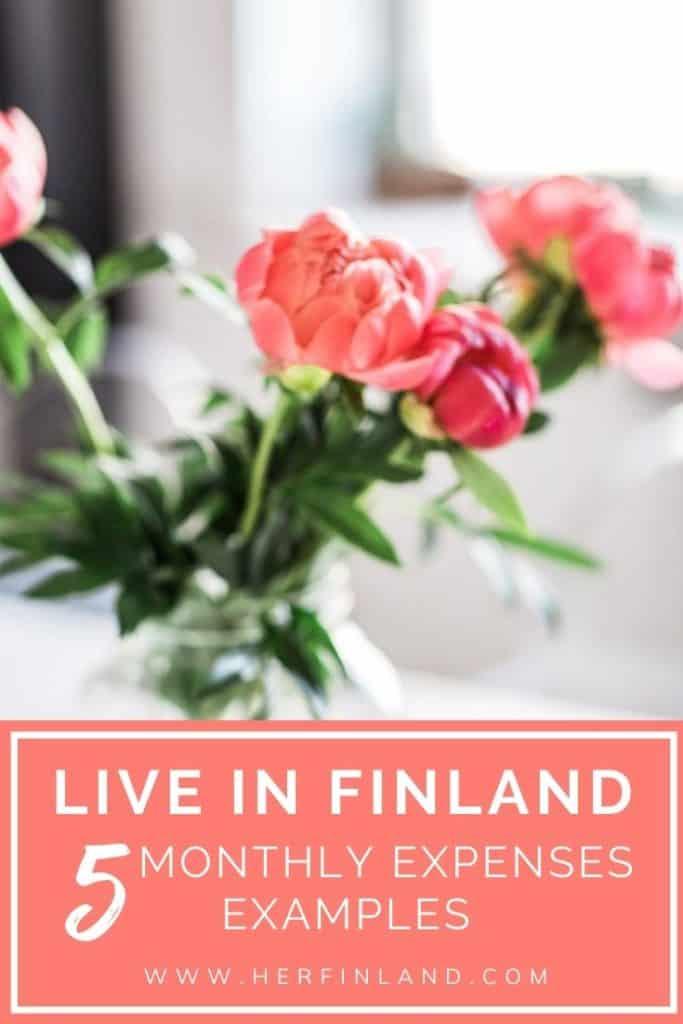 How expensive is it to live in Finland? 5 x reallife cost of living