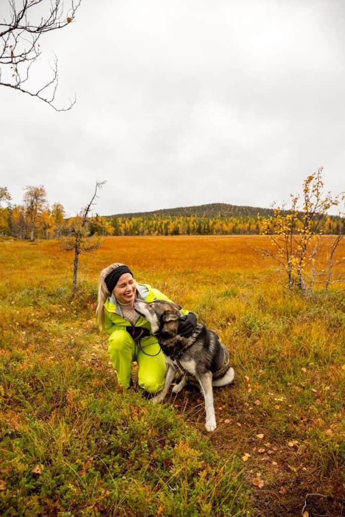 woman and husky playing together