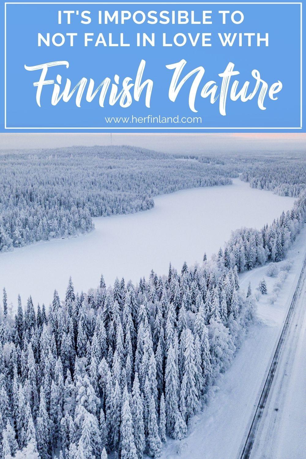 finland winter nature