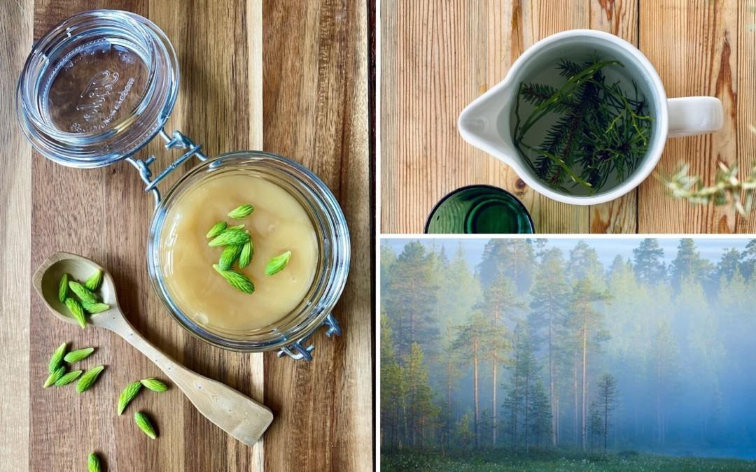 Foraging in Finland: 7 Delicious Wild Herbs to Try