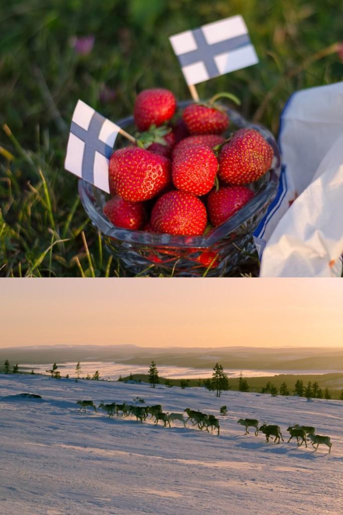 Local And Seasonal Finnish foods