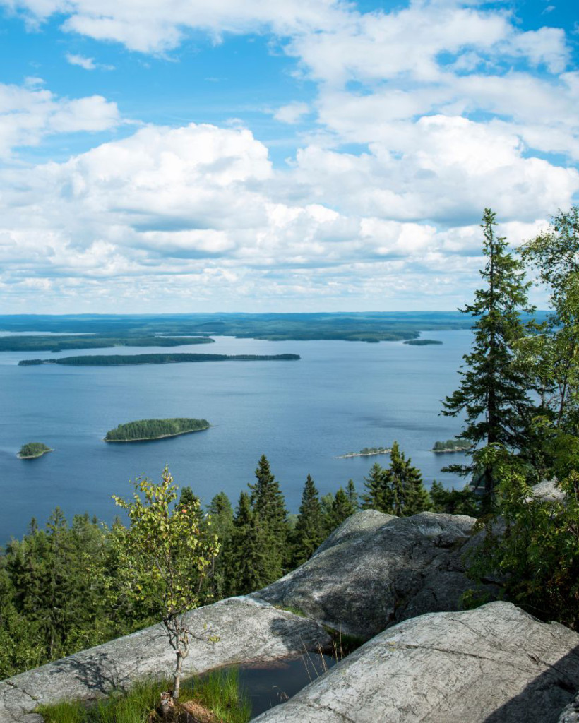 Koli mountains Finland park