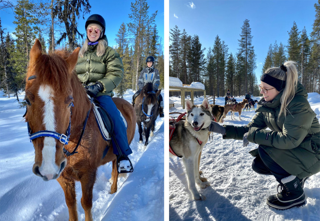 Levi activities Lapland husky horse riding tour